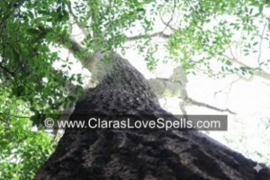 FAQs regarding DIY Love Spells